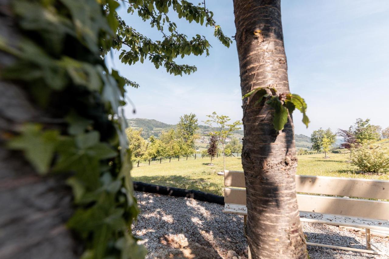 San Michele MondoviCa' Del Magu别墅 外观 照片
